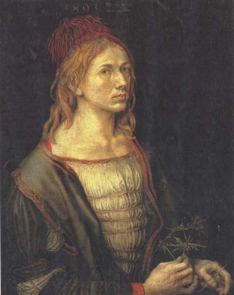 Albrecht Durer Self-Portrait (mk45)